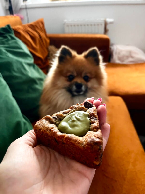 woman holding a pistacio Trinity cookies in front of a brown pomeranian